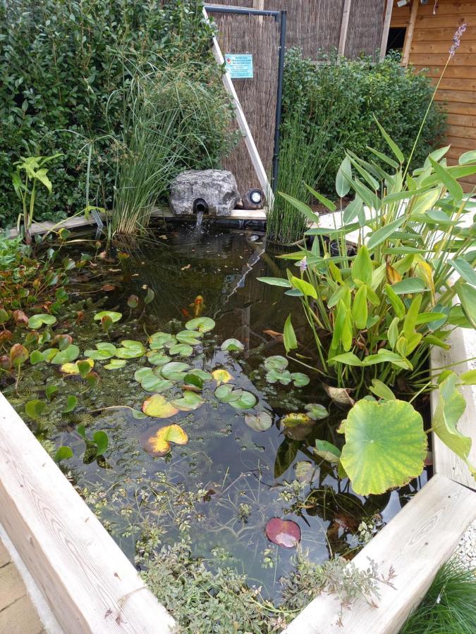 Appartement 3 Eme Etage Avec Piscine Partagee スダン エクステリア 写真